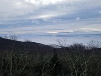 20201101_073306.jpg
