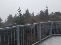 20201031_115625.jpg