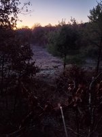 20201031_070708.jpg