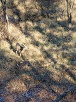 20201030_154608.jpg