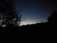20201102_054135.jpg