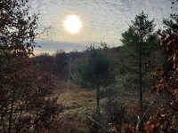 20201102_082359.jpg