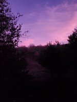 20201102_171853.jpg