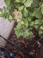 02672724-D834-40E3-A9DF-534F3D5D6F05.jpeg
