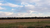 20201104_074004.jpg