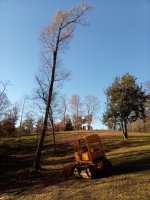 IMG_20201104_155536.jpg