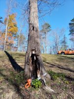 IMG_20201104_132858.jpg