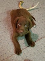 20201105_182154.jpg