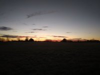 IMG_20201104_062717.jpg