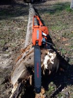 IMG_20201105_113752.jpg