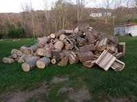 IMG_20201105_154225.jpg