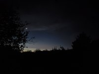 20201106_054329.jpg