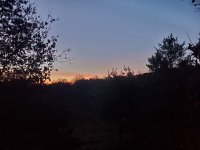 20201106_062131.jpg