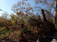 IMG_20201102_135828.jpg