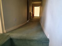 20201106_151103.jpg