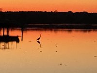 IMG_4751.jpg
