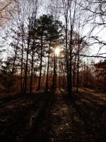 IMG_20201107_153013.jpg