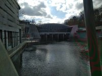 IMG_20201109_124811.jpg