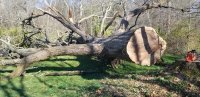 20201031_143801.jpg