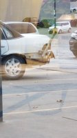 20201109_153635.jpg
