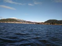 IMG_20201110_132039.jpg