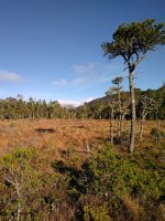 IMG_20201110_115554.jpg