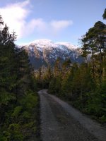 IMG_20201110_110327.jpg