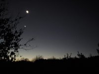 20201112_055039.jpg