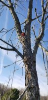 20201112_140932.jpg