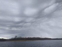 IMG_20201112_114558.jpg