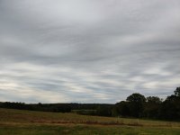 20201003_154301.jpg