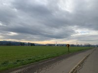 1657B483-E7F0-4C72-B42E-F21315D44BC8.jpeg