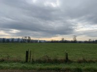 26259607-A9B0-47FC-822F-6FC48305B5A4.jpeg
