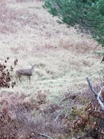 20201112_161353.jpg