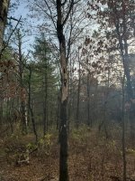 20201106_143127.jpg