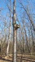 20160326_170829.jpg