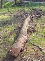 IMG_20201113_120100.jpg