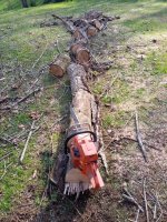 IMG_20201113_121622.jpg
