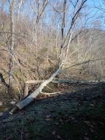 IMG_20201113_120007.jpg