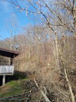 IMG_20201113_094301.jpg