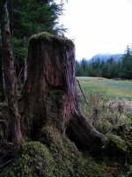 IMG_20201119_123919.jpg