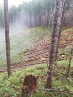 20201119_094509.jpg