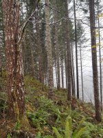 20201119_094527.jpg