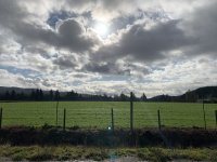 8FEB29C2-A0D9-4AA7-9DA6-C624A62876F5.jpeg