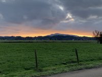 9F7EC835-04D5-4529-80F6-0C15131B1895.jpeg