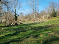 20201120_103556.jpg