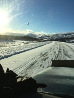 haines 2020 5.jpg