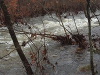 20201122_094418.jpg