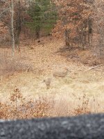 20201122_132124.jpg