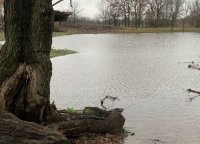6439BD97-B732-451A-A7E0-15477407D391.jpeg